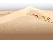 Geography of Qatar | Where is Qatar?