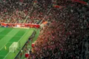 Sports in Qatar | The Ultimate Guide