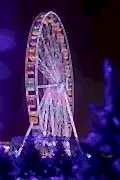 Music in Qatar