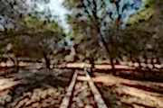 Nature reserves
