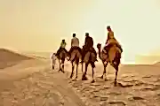 Visit Qatar - Official Website