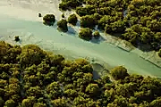 Nature in Qatar