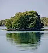 Wildlife of Qatar