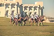 Camel racing