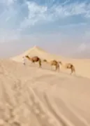 Unique geography