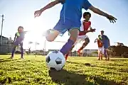 Sports in Qatar | The Ultimate Guide