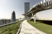 Doha Oasis
