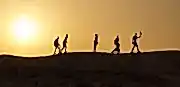 Tour operators