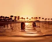Qatar's climate | Weather & climate guide