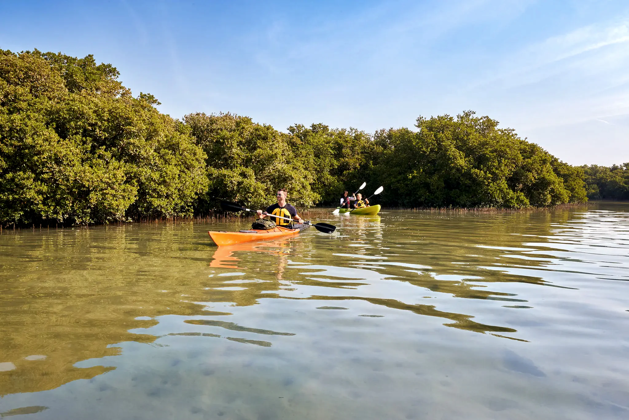 Al Thakira Mangroves